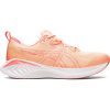 Asics Gel Cumulus 25 1012B441 800