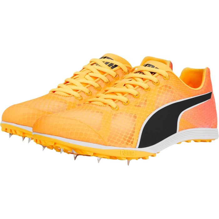 Puma evoSpeed Crossfox 4 377008 01 Front