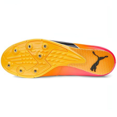 Puma evoSpeed Long Jump 10 377002 01 Sole