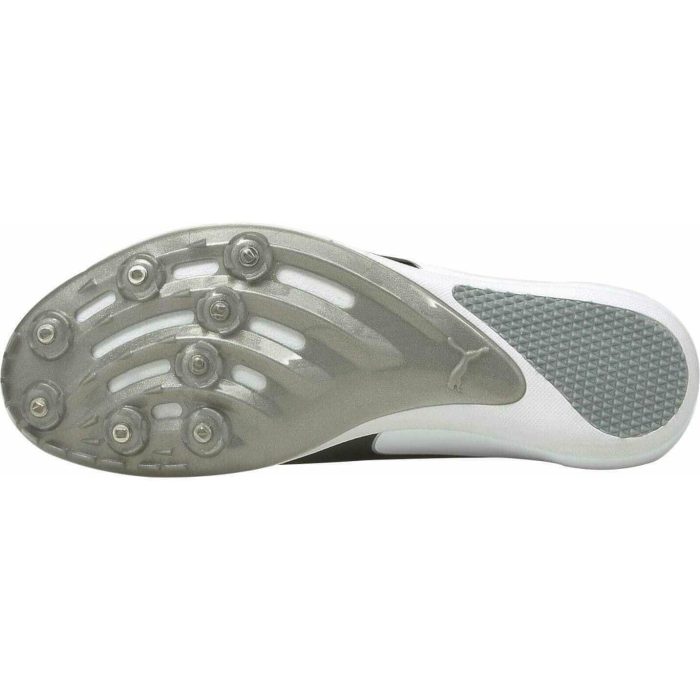 puma evospeed sprint 10 running spikes white 28938271064272